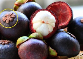 Cách chọn mua măng cụt tươi ngon, dày múi