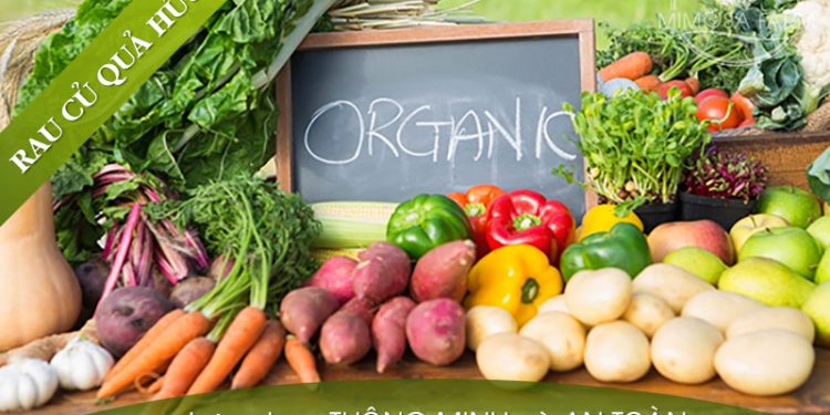 Cẩm nang thông tin về Rau Organic, Rau sạch