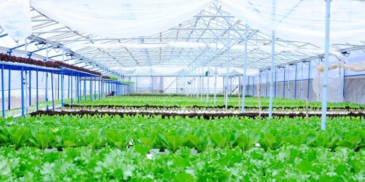 Sản xuất sản phẩm OCOP thời 4.0 cần nông dân, nông trại thông minh