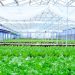 Sản xuất sản phẩm OCOP thời 4.0 cần nông dân, nông trại thông minh