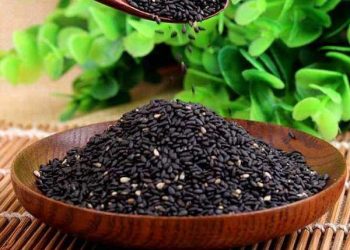 Thực phẩm giúp loại bỏ bức xạ từ máy tính