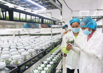 Ưu tiên đầu tư cho ”tam nông”