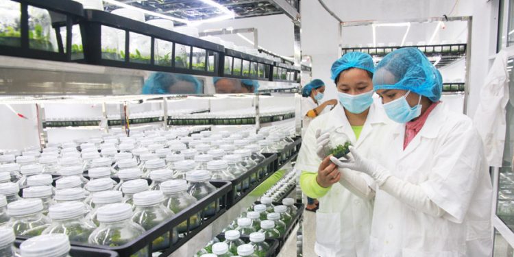 Ưu tiên đầu tư cho ”tam nông”