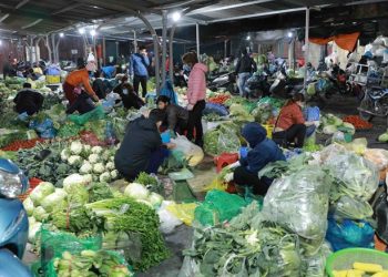 Nguồn cung dồi dào và giá cả ổn định suốt dịp Tết Nguyên đán