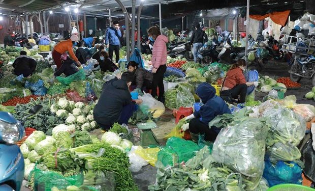 Nguồn cung dồi dào và giá cả ổn định suốt dịp Tết Nguyên đán