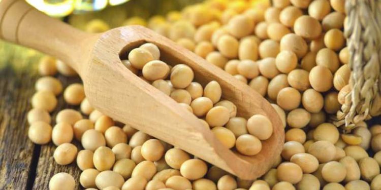 Cải tiến khoa học nhân giống để có thức ăn tốt hơn cho mọi người