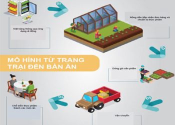 Mô hình ”từ trang trại đến bàn ăn”: Giàu tiềm năng nhiều thách thức