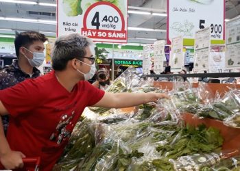 Hạn chế sử dụng túi nilon: Mới giải quyết phần ngọn