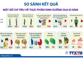 Tiêu thụ rau quả theo khuyến nghị của WHO để tăng dinh dưỡng phòng bệnh tật