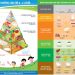 Nhu cầu dinh dưỡng cho học sinh tiểu học