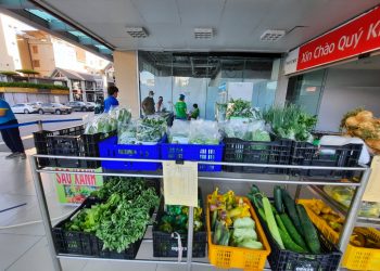 Chuỗi cửa hàng lưu động phục vụ thực phẩm thiết yếu mùa dịch được nhân dân Thủ đô hưởng ứng