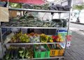 Hiệu ứng lan tỏa từ các chuỗi cửa hàng lưu động mùa dịch của Ngôi Sao Xanh