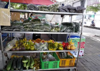 Hiệu ứng lan tỏa từ các chuỗi cửa hàng lưu động mùa dịch của Ngôi Sao Xanh